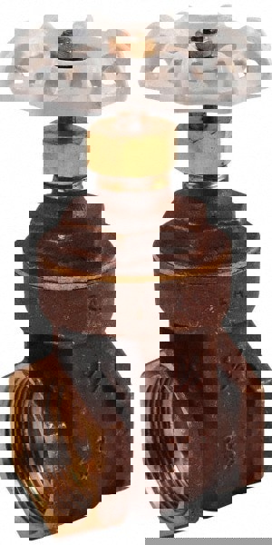 Gate Valve: Gate, 3/4